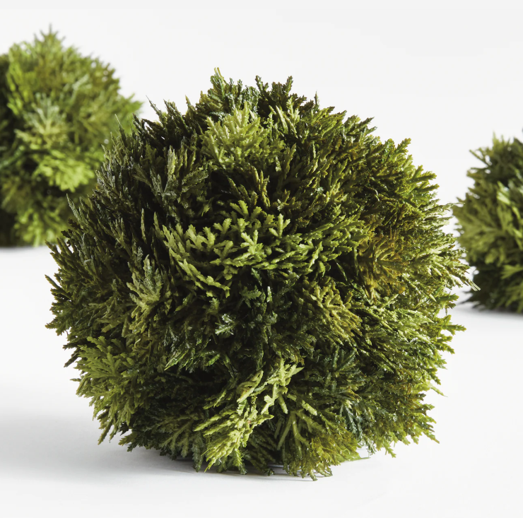 Cypress Orb