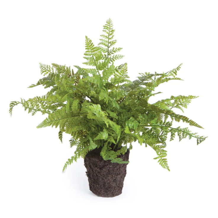 Soft Fern Drop-In