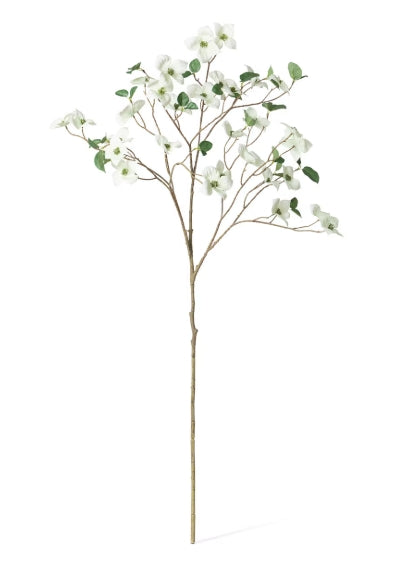 Dogwood Branch