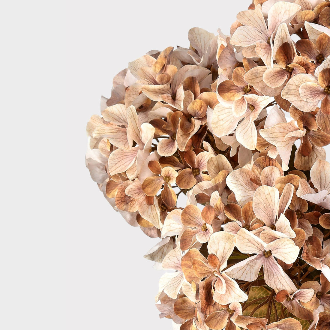 Artificial Autumn Hydrangea Bush in Cream and Brown - 22"