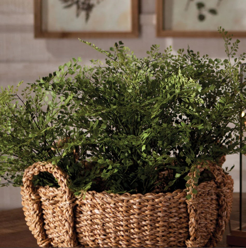 Maidenhair Drop-in 11&quot;