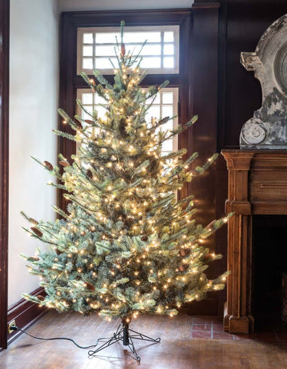 Blue Spruce Christmas Tree, 7.5&