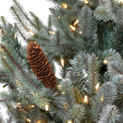 Blue Spruce Christmas Tree, 7.5&