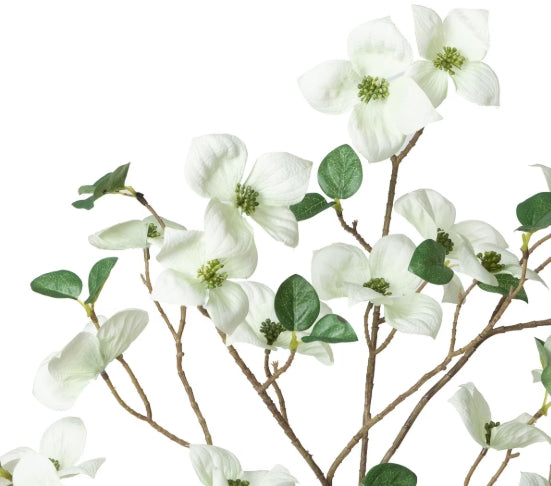 Dogwood Branch