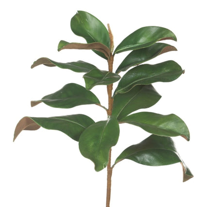 Faux Magnolia Leaf Pick