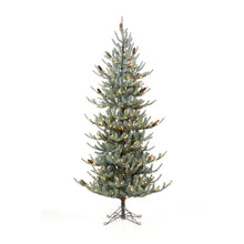 Load image into Gallery viewer, Blue Spruce Slim
