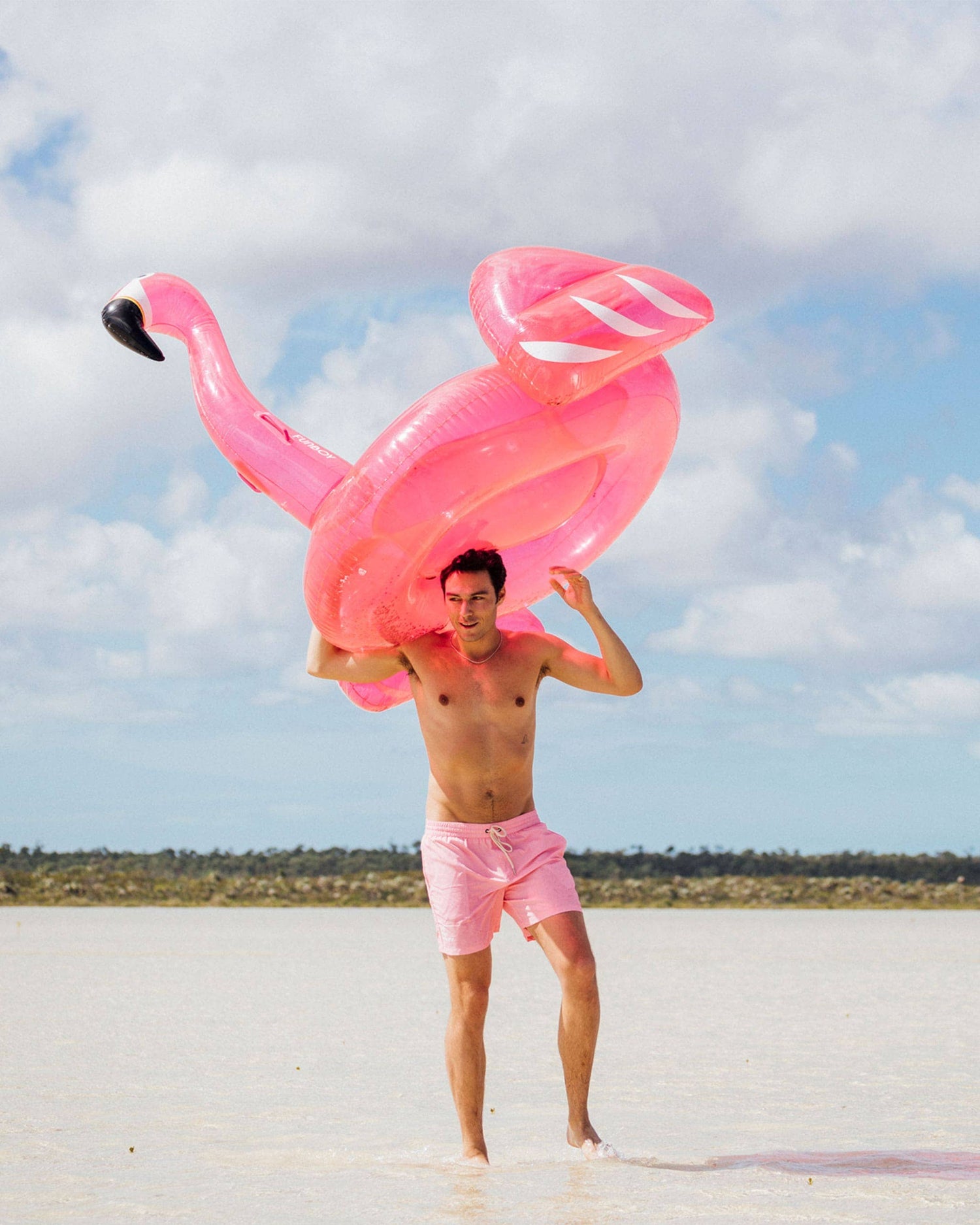 Clear Pink Glitter Flamingo