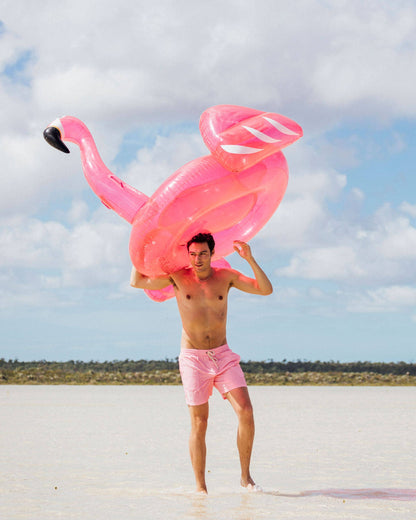 Clear Pink Glitter Flamingo