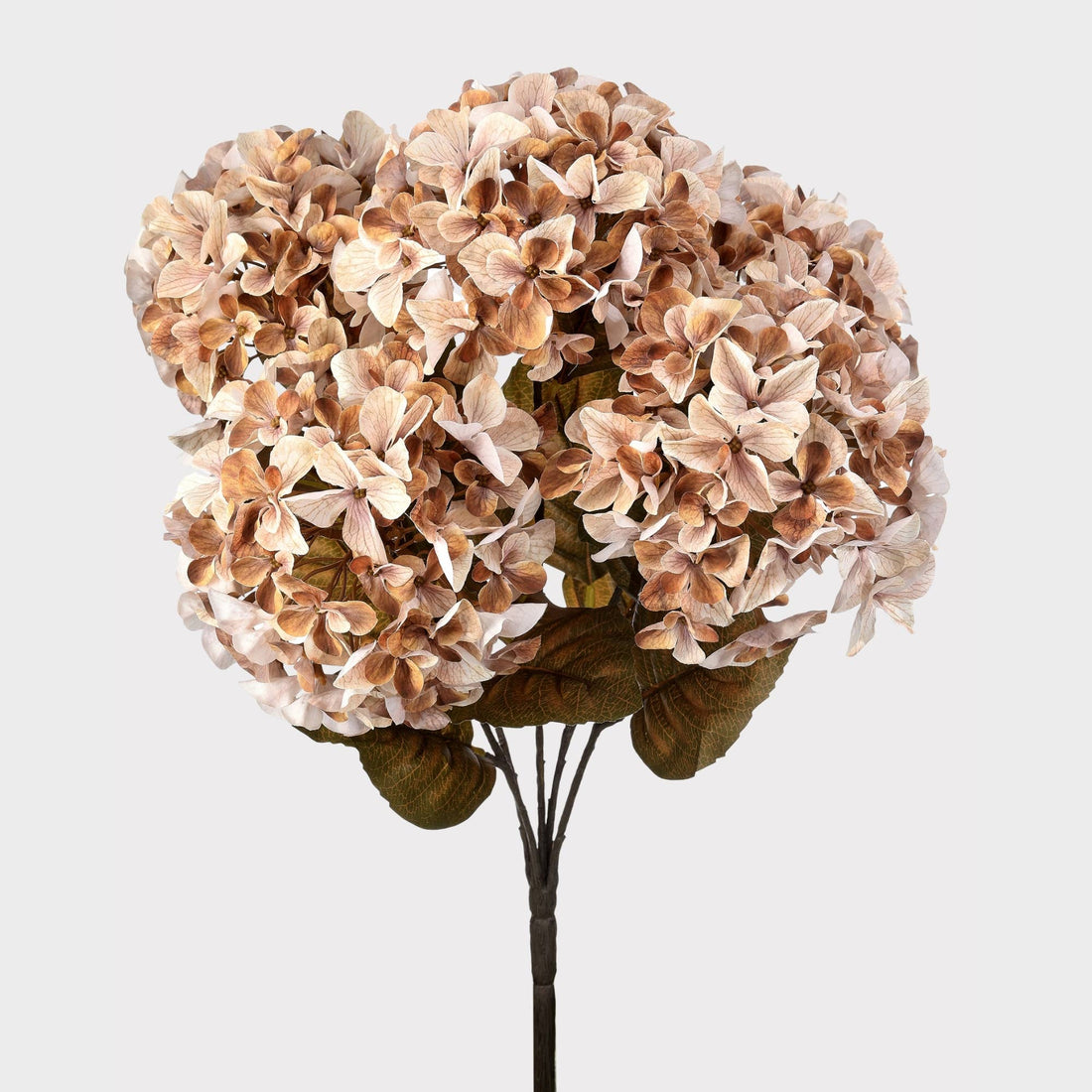 Artificial Autumn Hydrangea Bush in Cream and Brown - 22"