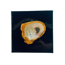 Load image into Gallery viewer, Resin Oyster Art - 6&quot;x6&quot; Canvas
