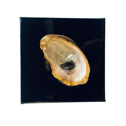 Resin Oyster Art - 6&quot;x6&quot; Canvas