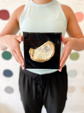 Load image into Gallery viewer, Resin Oyster Art - 6&quot;x6&quot; Canvas

