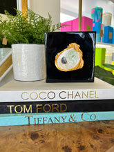 Load image into Gallery viewer, Resin Oyster Art - 6&quot;x6&quot; Canvas
